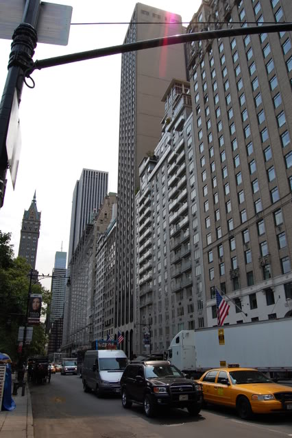 DSC_0091.jpg DSC_0091.jpg