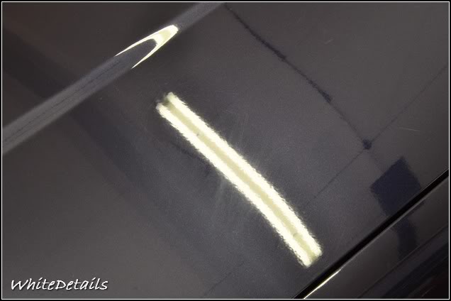 DSC_0091.jpg DSC_0091.jpg