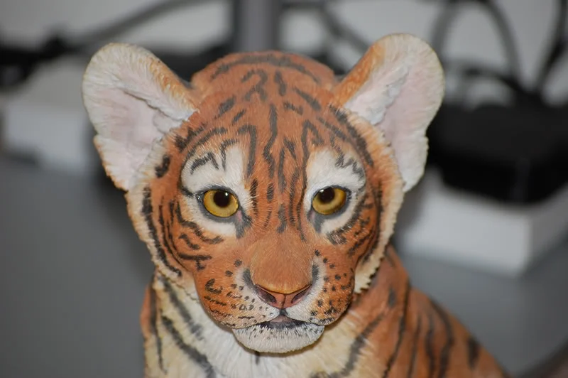 DSC_0091.webp