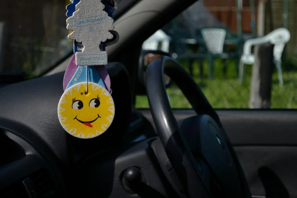 DSC_0093_40_zps2b8444db.webp