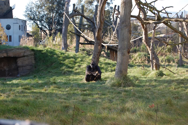 DSC_0095-Edit.jpg DSC_0095-Edit.jpg