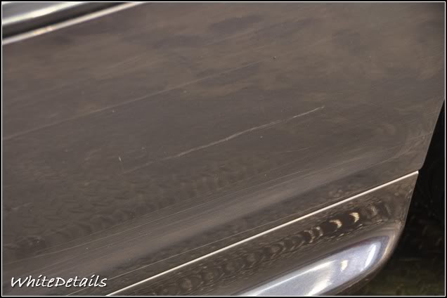 DSC_0096.jpg DSC_0096.jpg