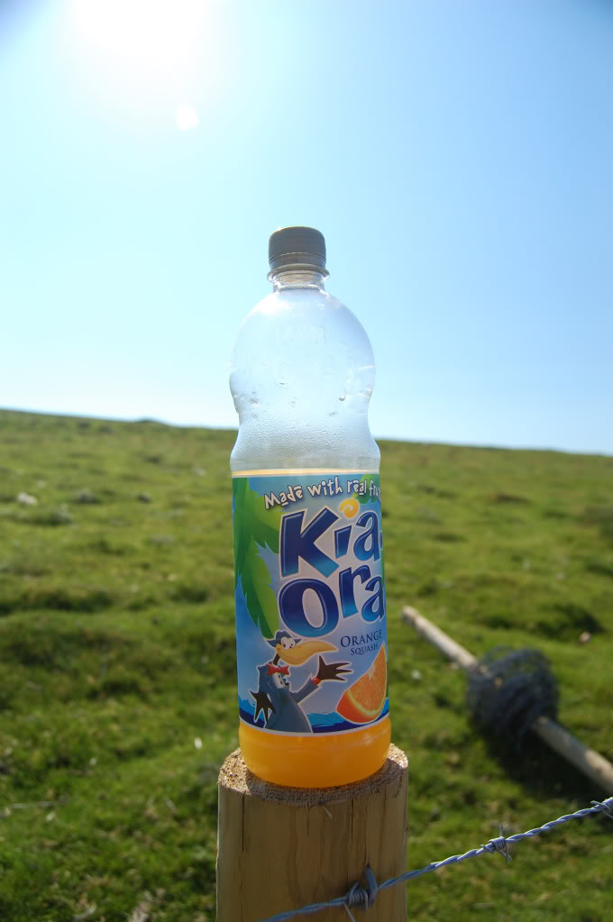DSC_0096_406.jpg