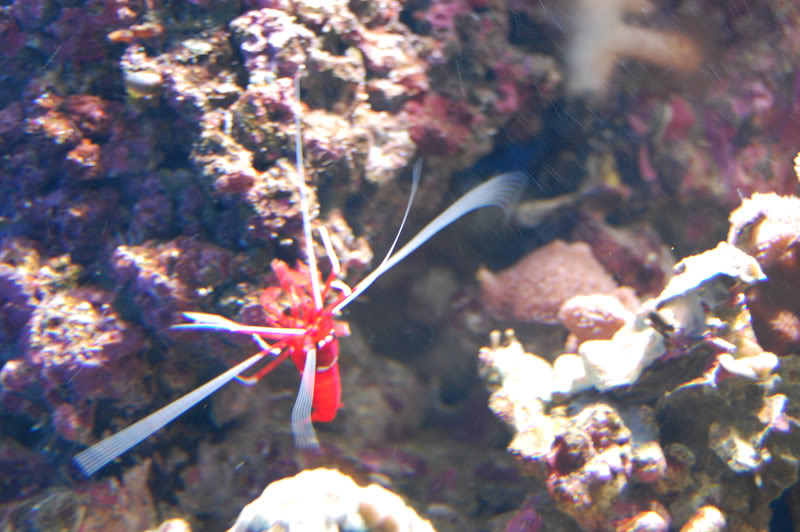 DSC_0097-Edit.jpg DSC_0097-Edit.jpg