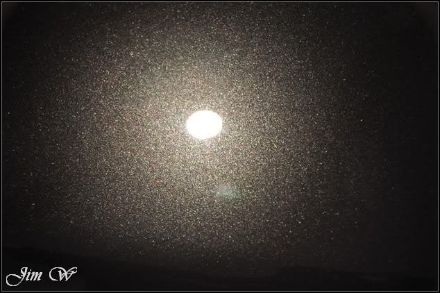 DSC_0097.jpg DSC_0097.jpg