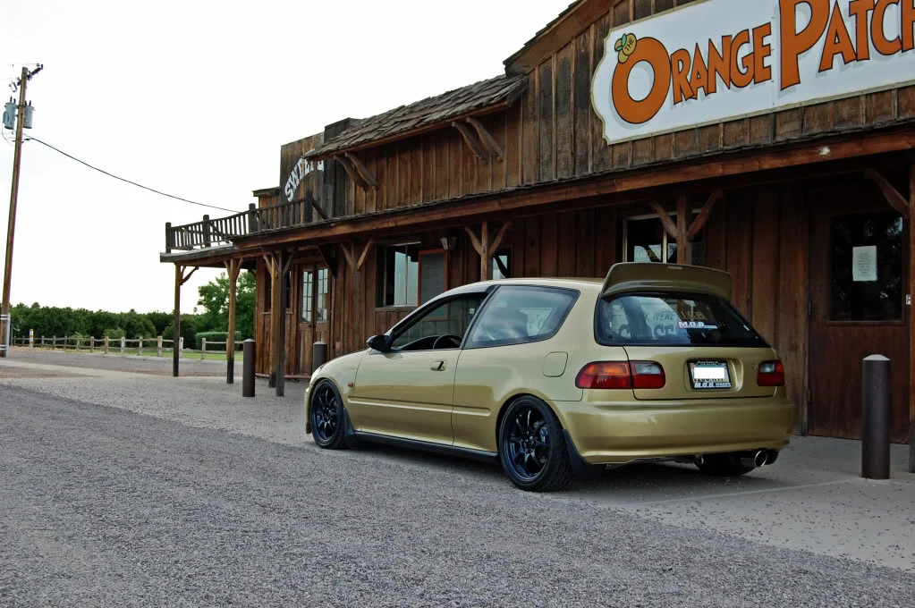 DSC_0098copy.webp