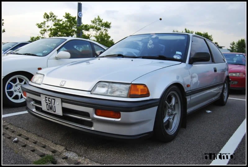 DSC_0098copy.webp