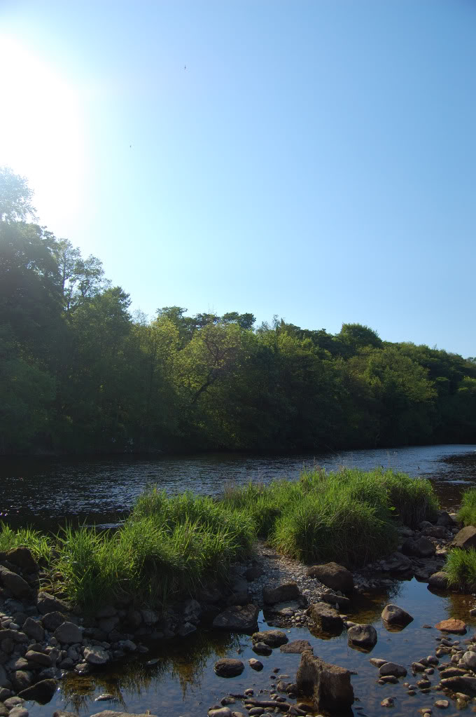 DSC_0099_409.jpg