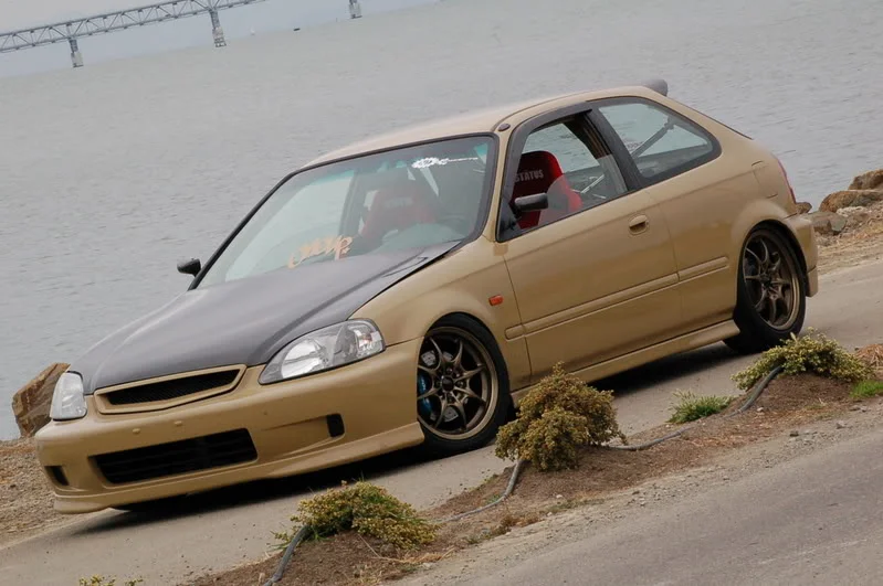 DSC_0100.webp