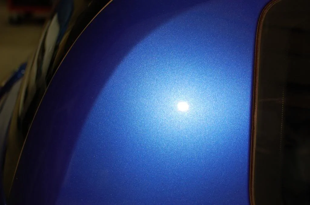 DSC_0100_zpse3775634.webp