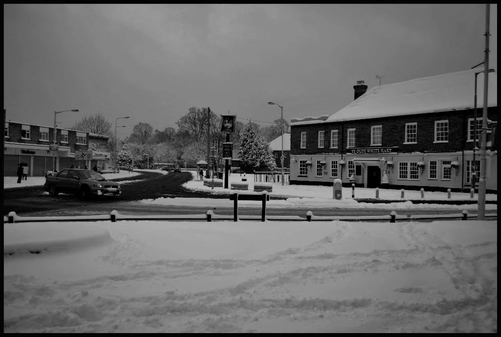 DSC_0101-1.webp