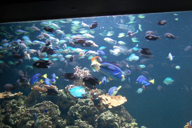 DSC_0101-Edit.jpg DSC_0101-Edit.jpg