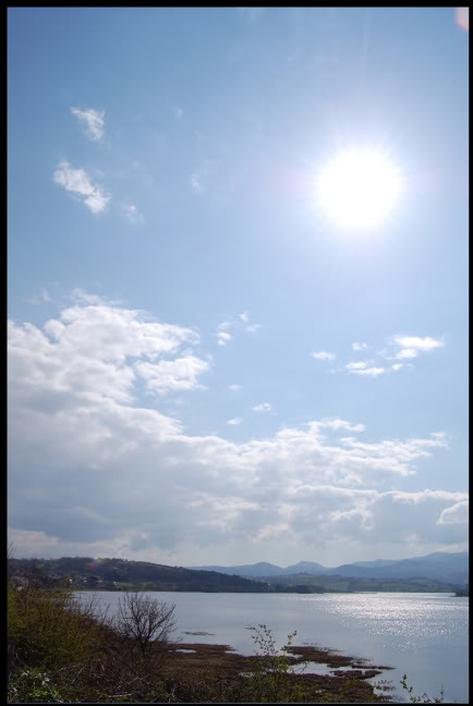 DSC_0102.jpg