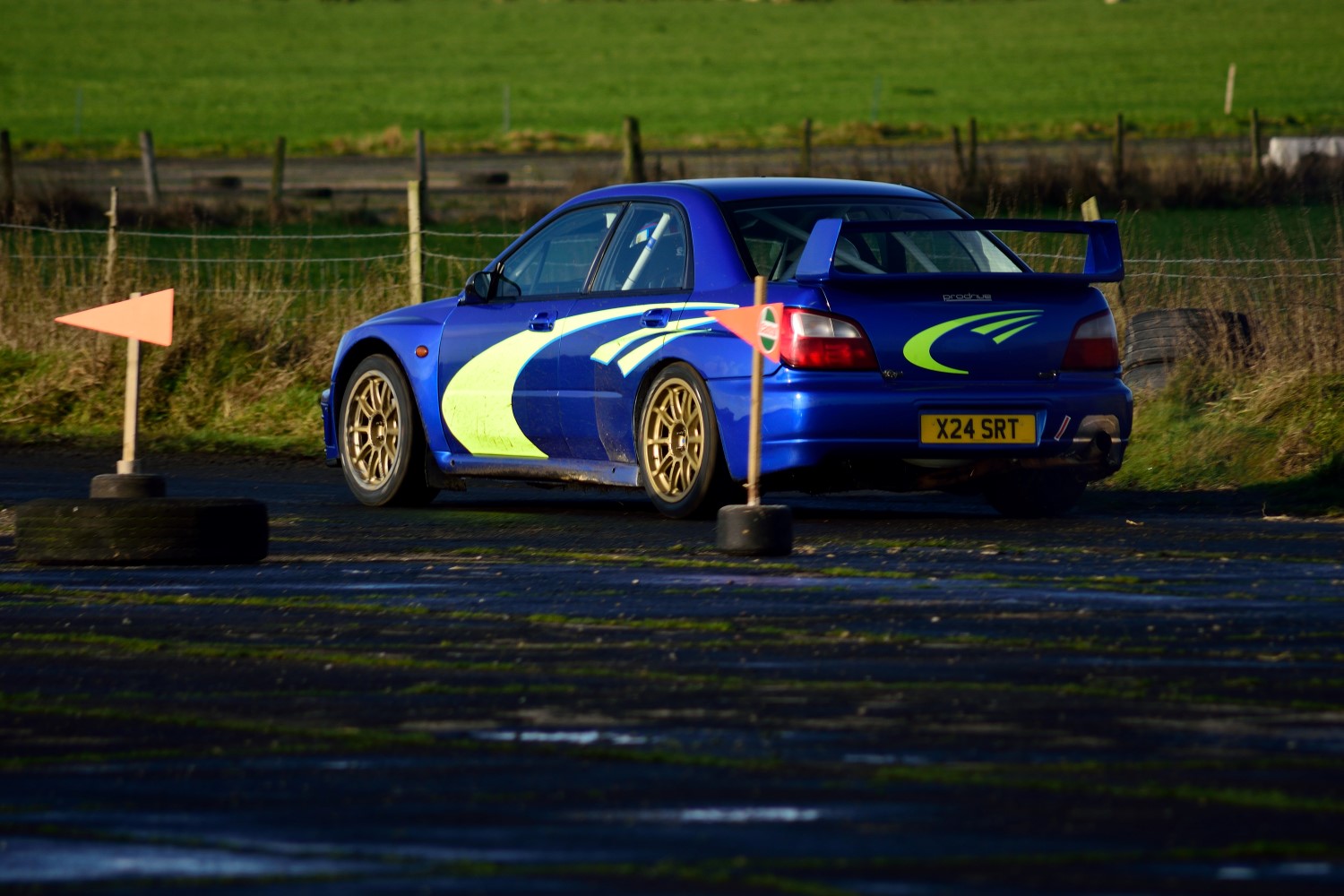 DSC_0105%20%28Custom%29.jpg