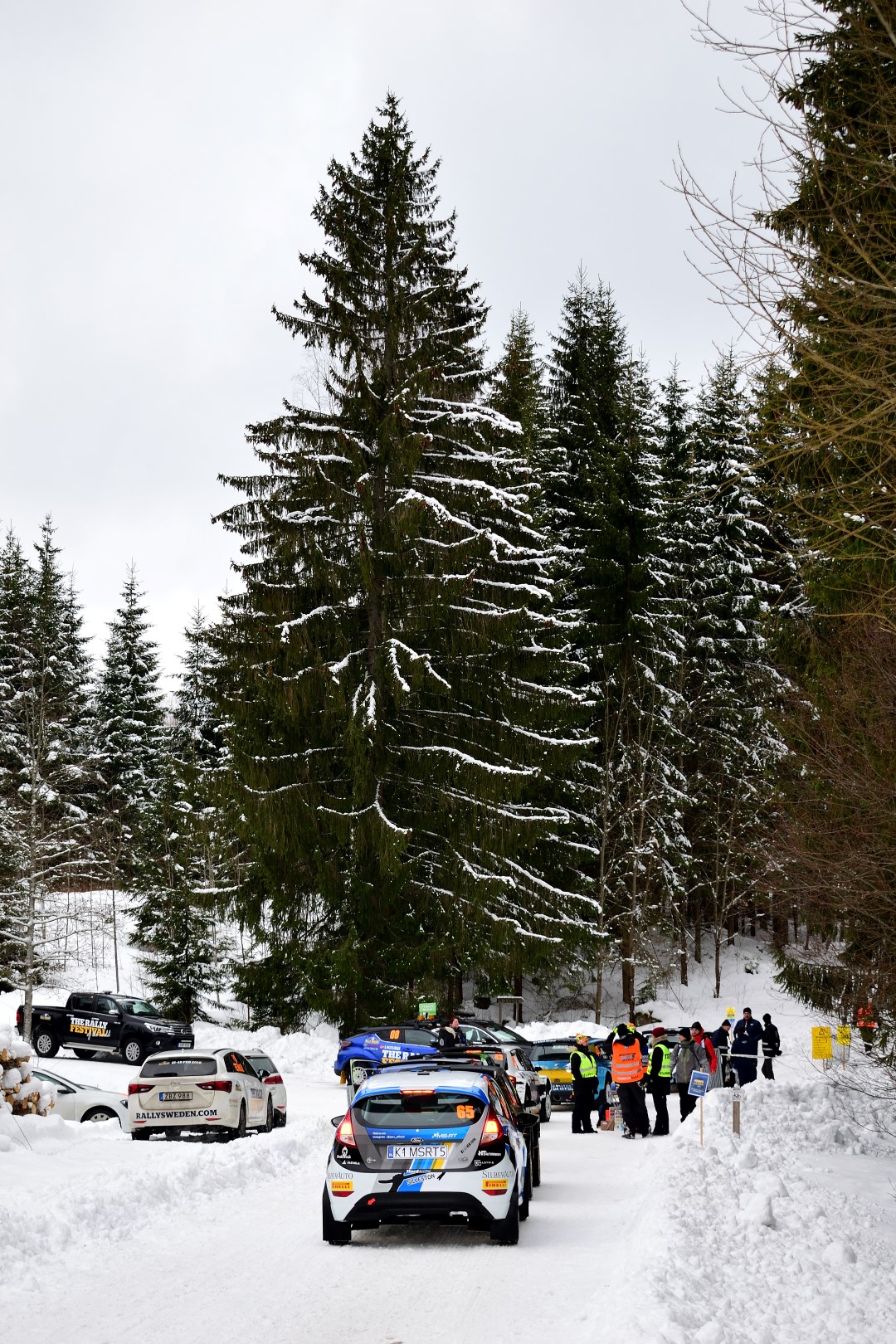 DSC_0107 (Large).JPG