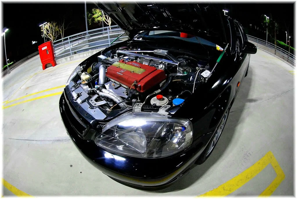 DSC_0107.webp