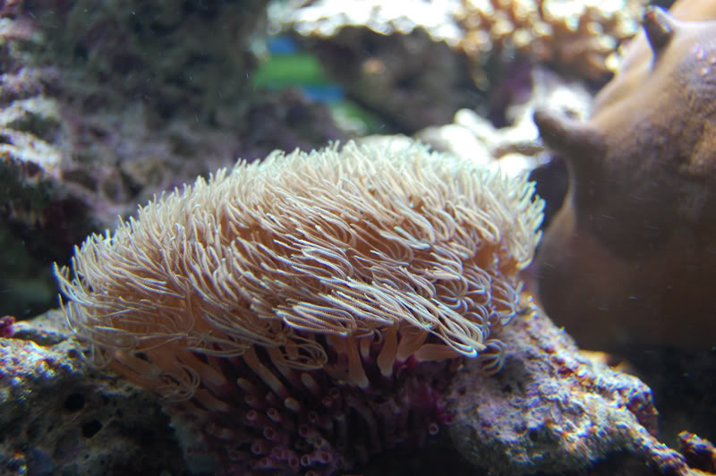 DSC_0109-Edit.jpg DSC_0109-Edit.jpg