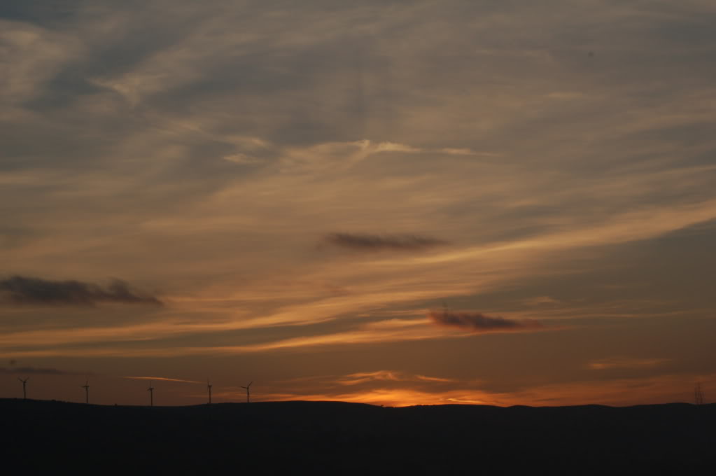DSC_0109.jpg