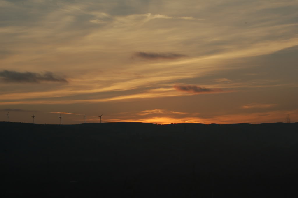 DSC_0110.jpg