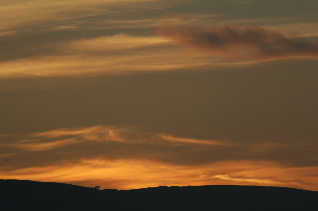 DSC_0111.jpg