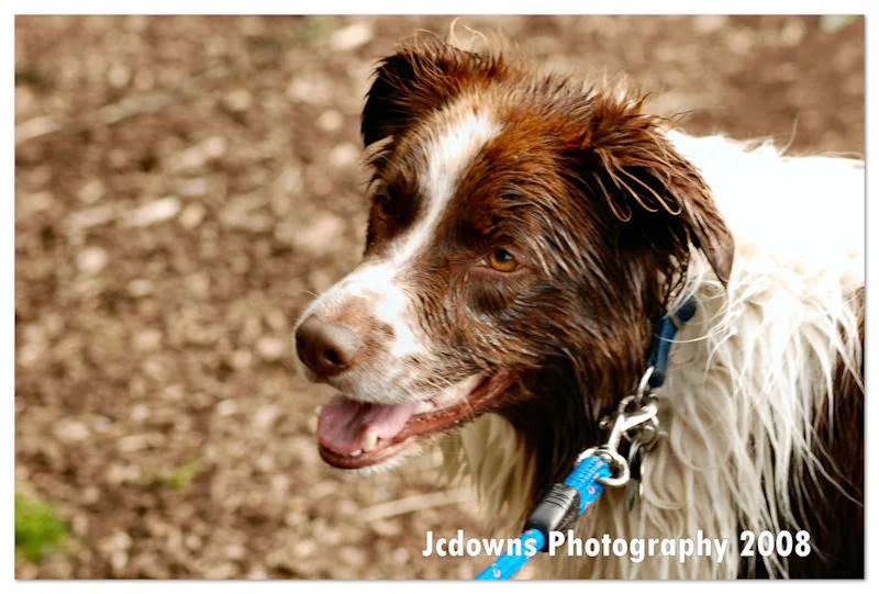 DSC_0111.webp