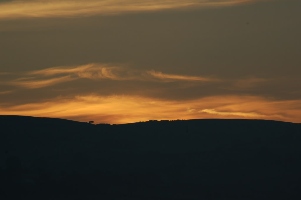 DSC_0112.jpg