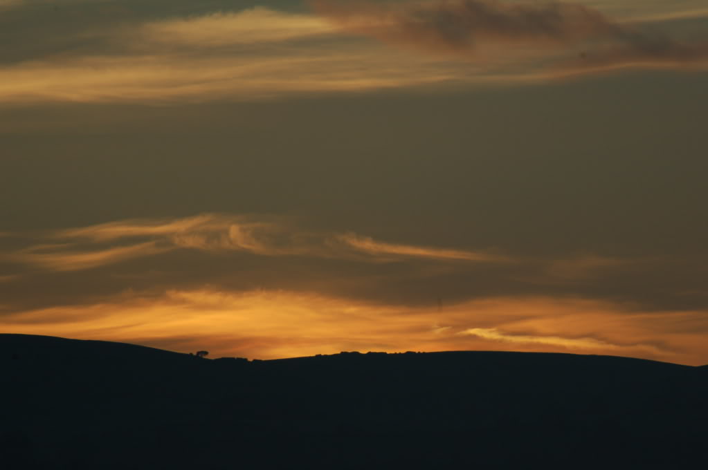 DSC_0113.jpg