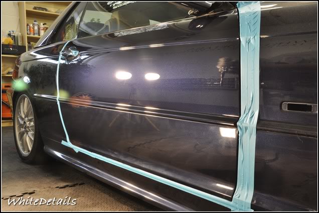 DSC_0113.jpg DSC_0113.jpg