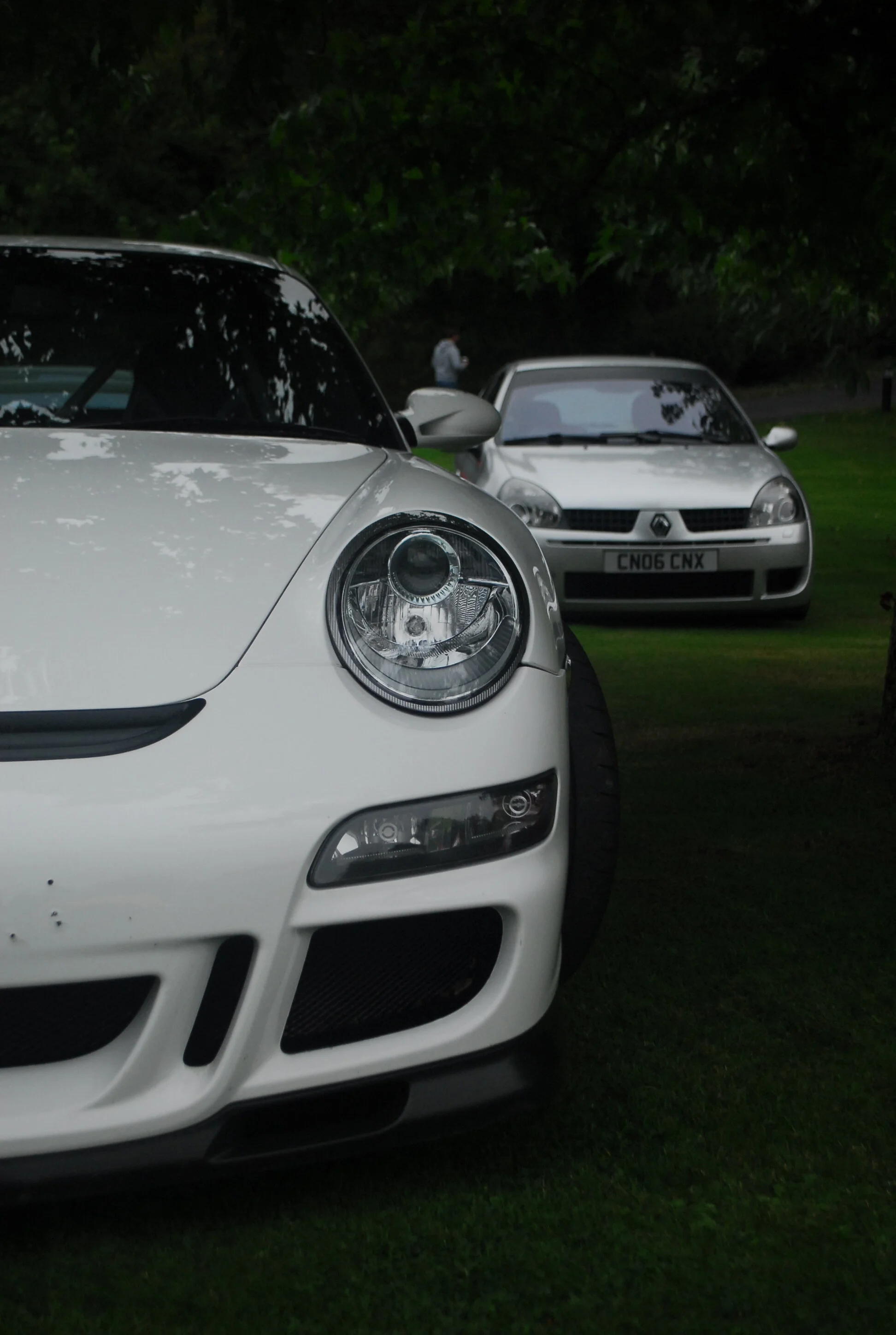 DSC_0113.webp