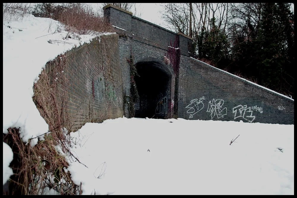 DSC_0113.webp