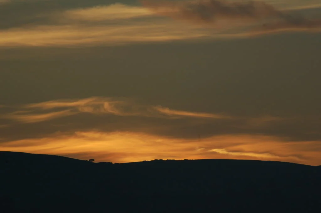 DSC_0113.webp