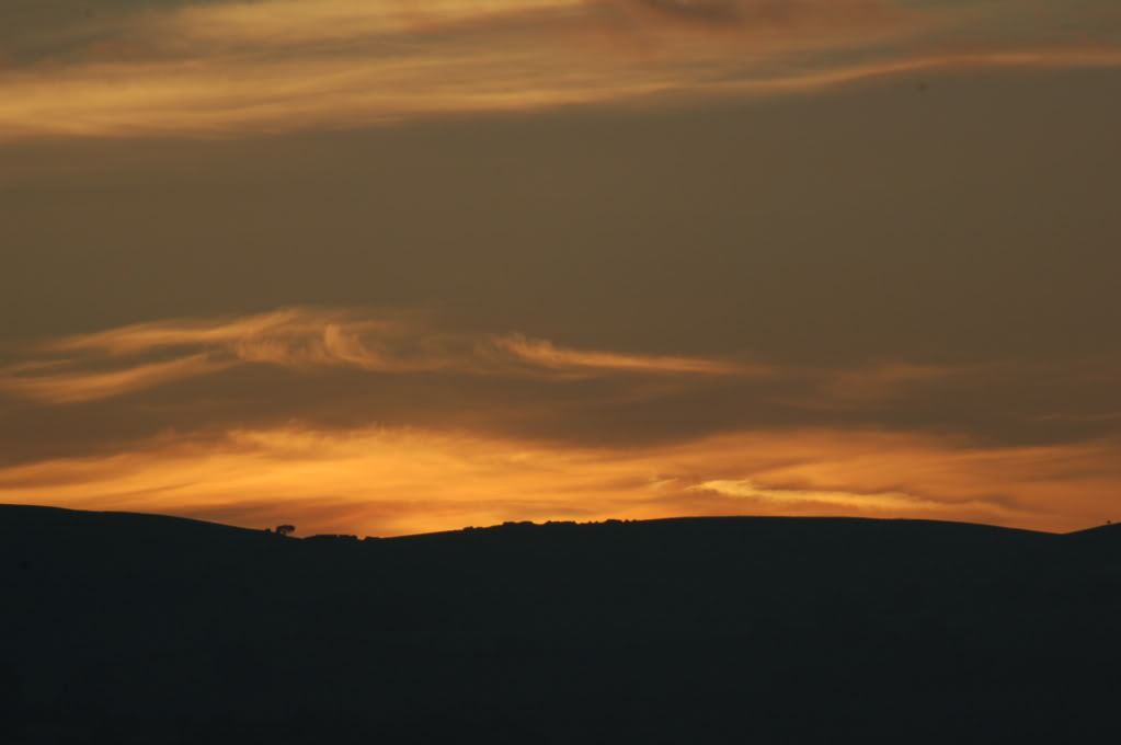 DSC_0115.jpg
