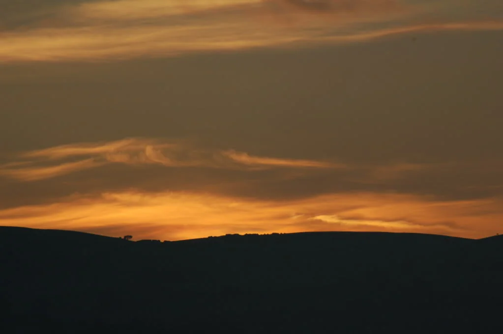 DSC_0115.webp
