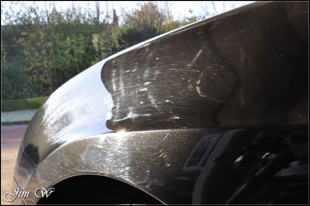 DSC_0116.jpg DSC_0116.jpg