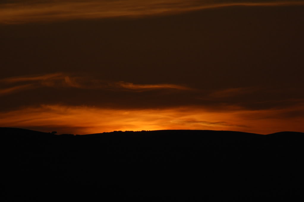 DSC_0116.jpg