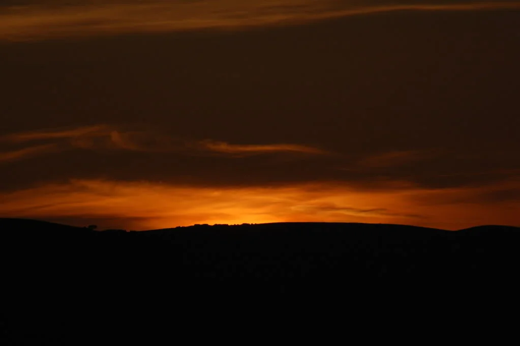 DSC_0116.webp