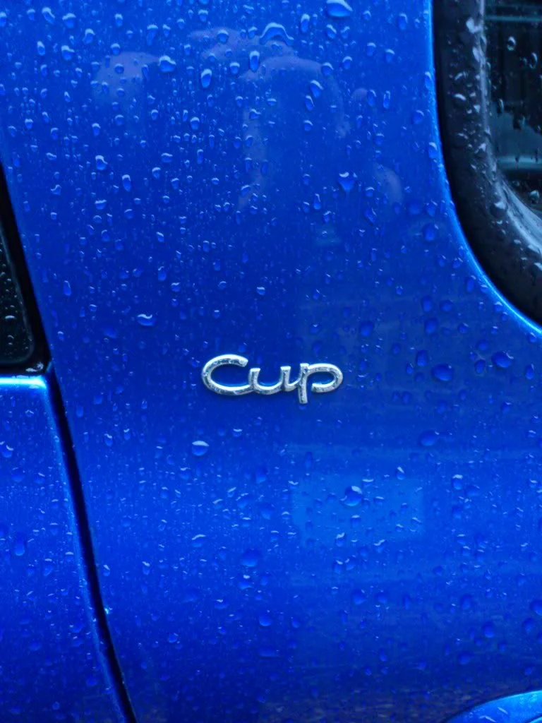 DSC_0116.webp