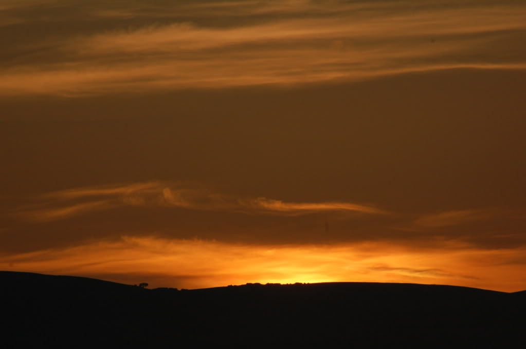 DSC_0117.jpg