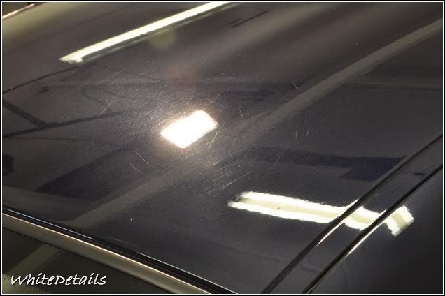 DSC_0117.jpg DSC_0117.jpg