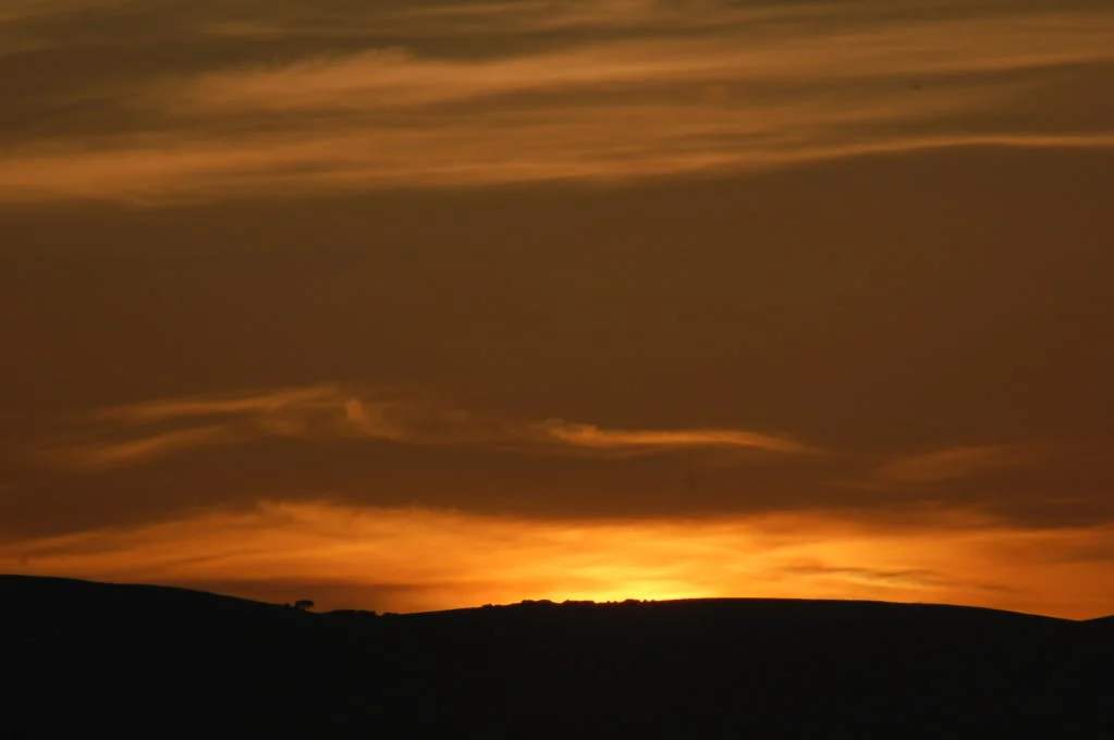 DSC_0117.webp