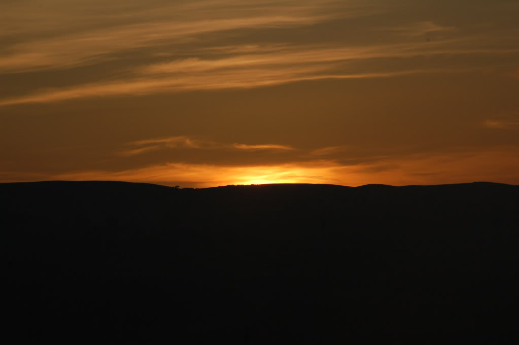 DSC_0118.jpg