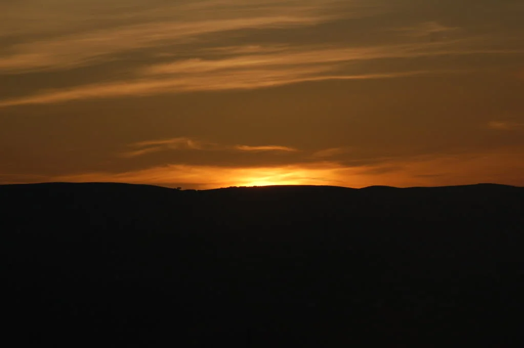 DSC_0118.webp