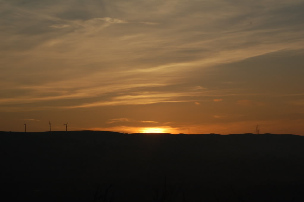 DSC_0120.jpg