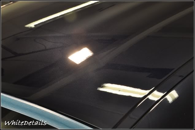 DSC_0120.jpg DSC_0120.jpg