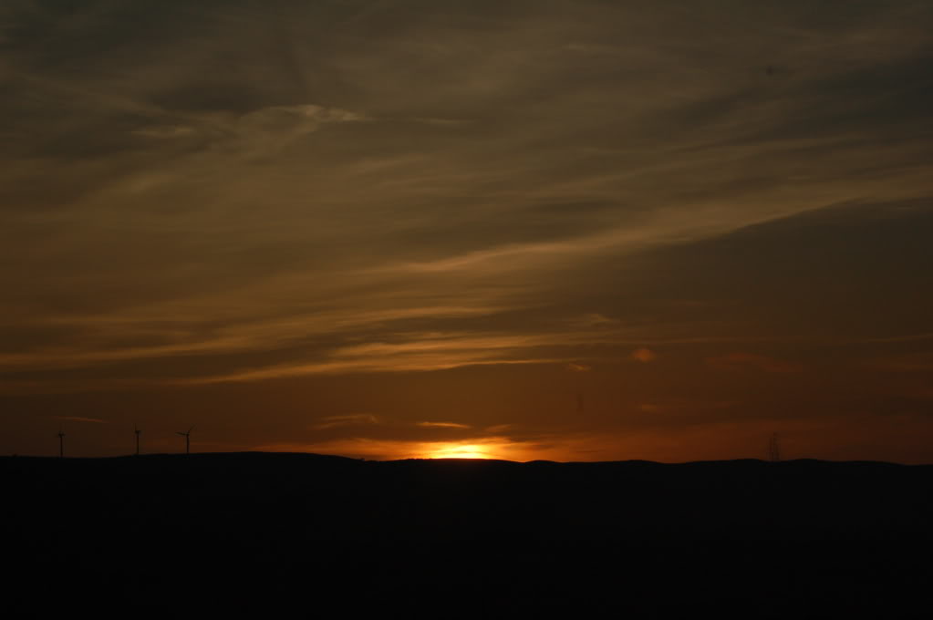 DSC_0121.jpg