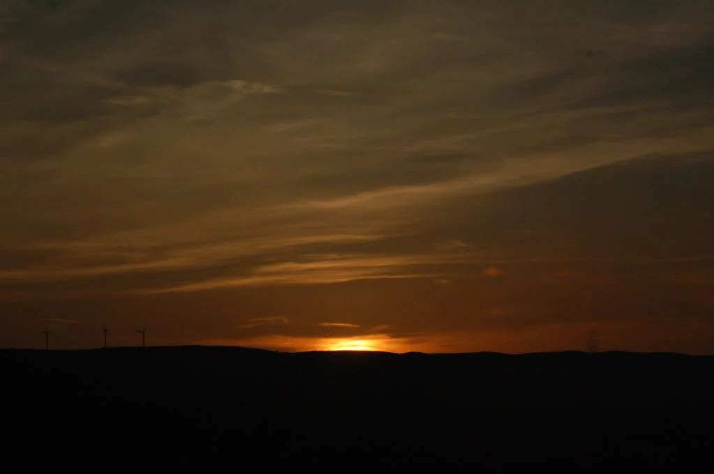 DSC_0121.webp