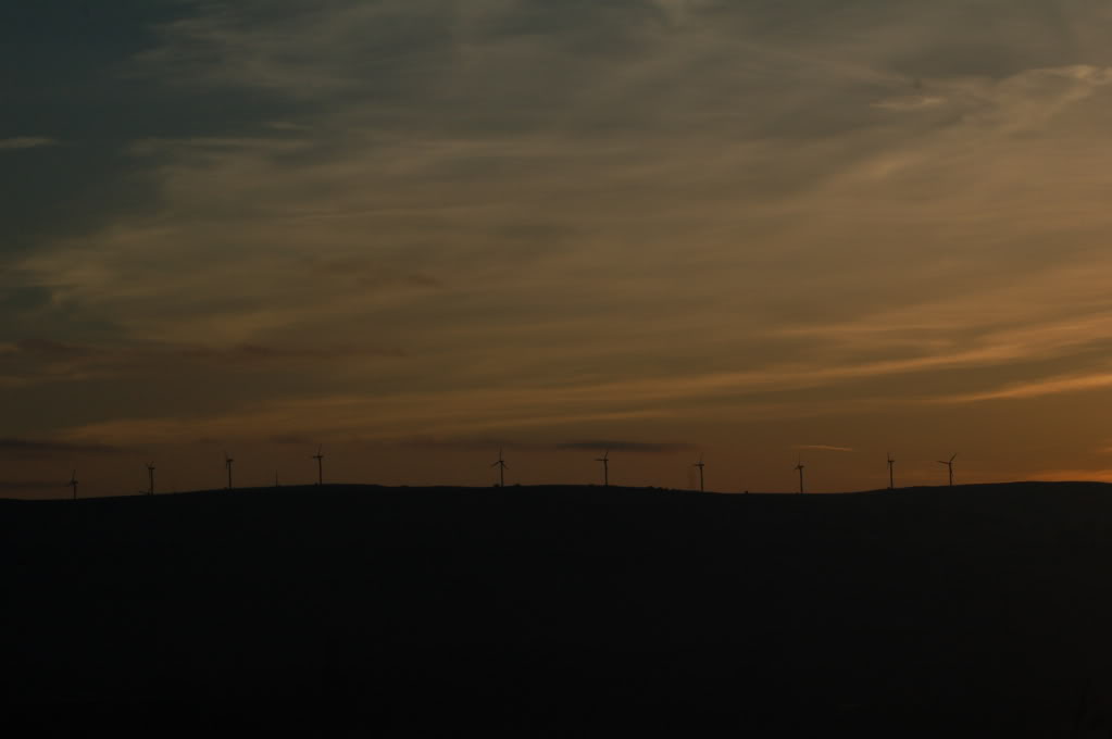 DSC_0122.jpg