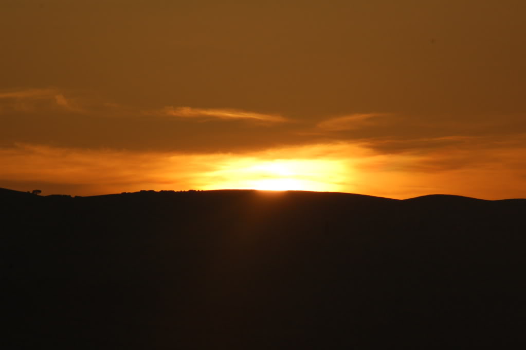 DSC_0124.jpg