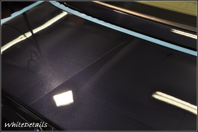 DSC_0124.jpg DSC_0124.jpg