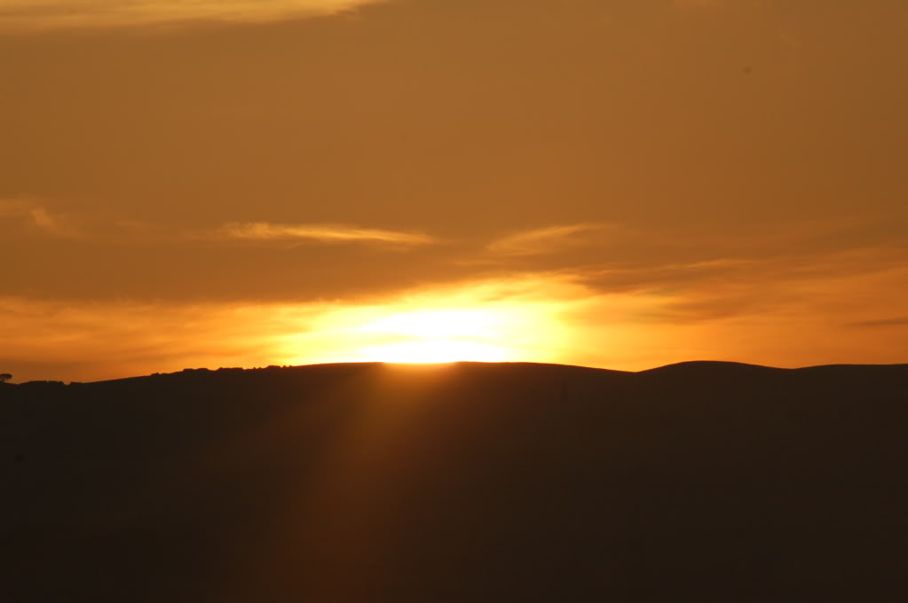 DSC_0125.jpg